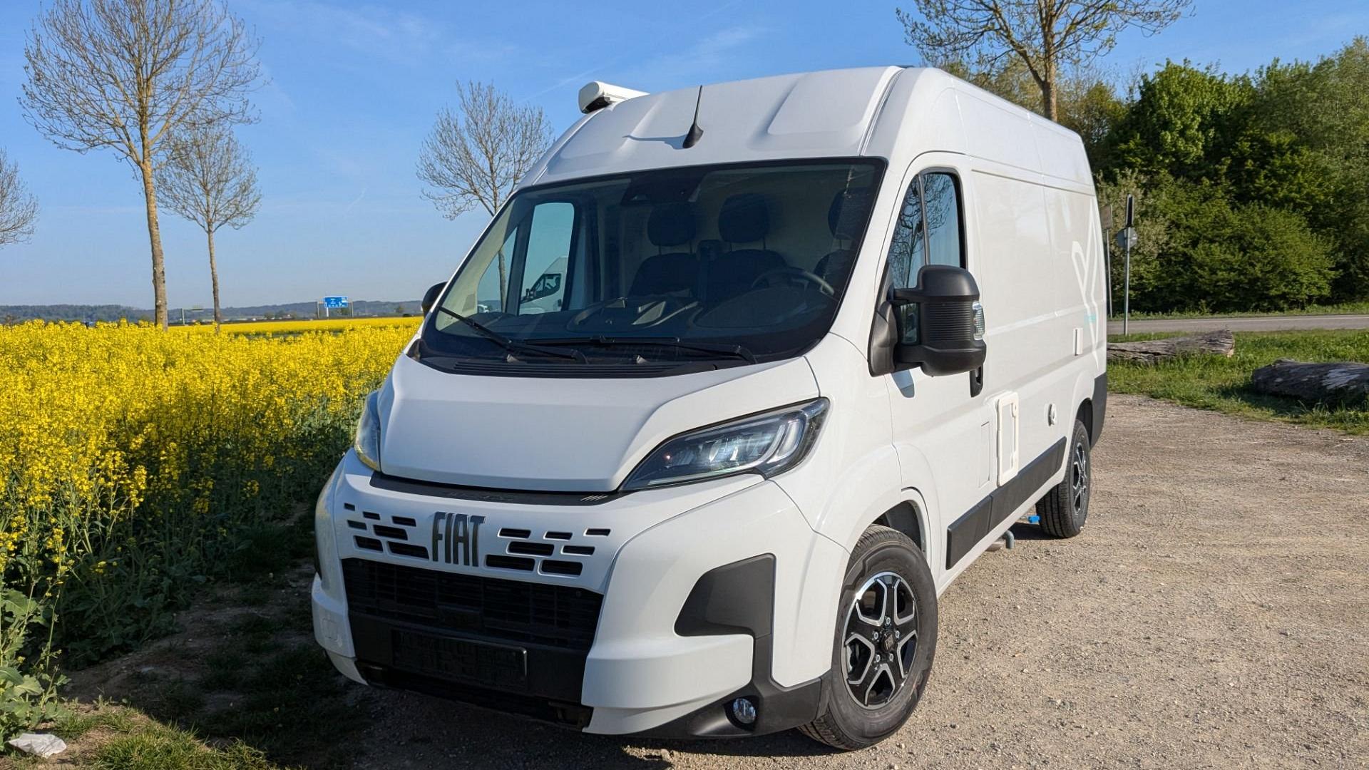 Affinity FREEDO 541