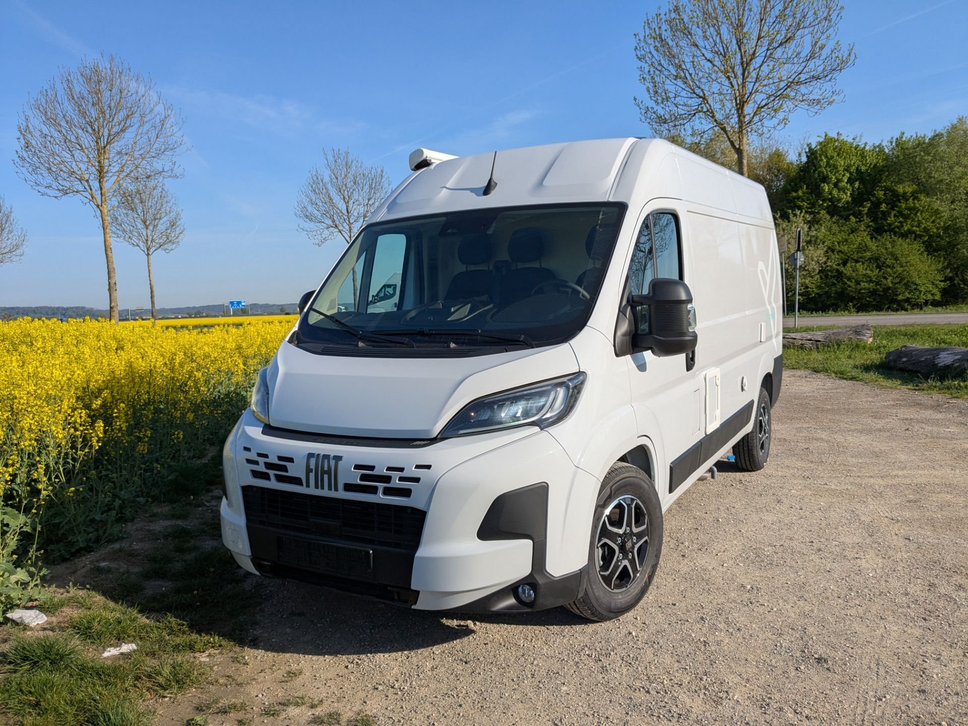 Affinity FREEDO 541
