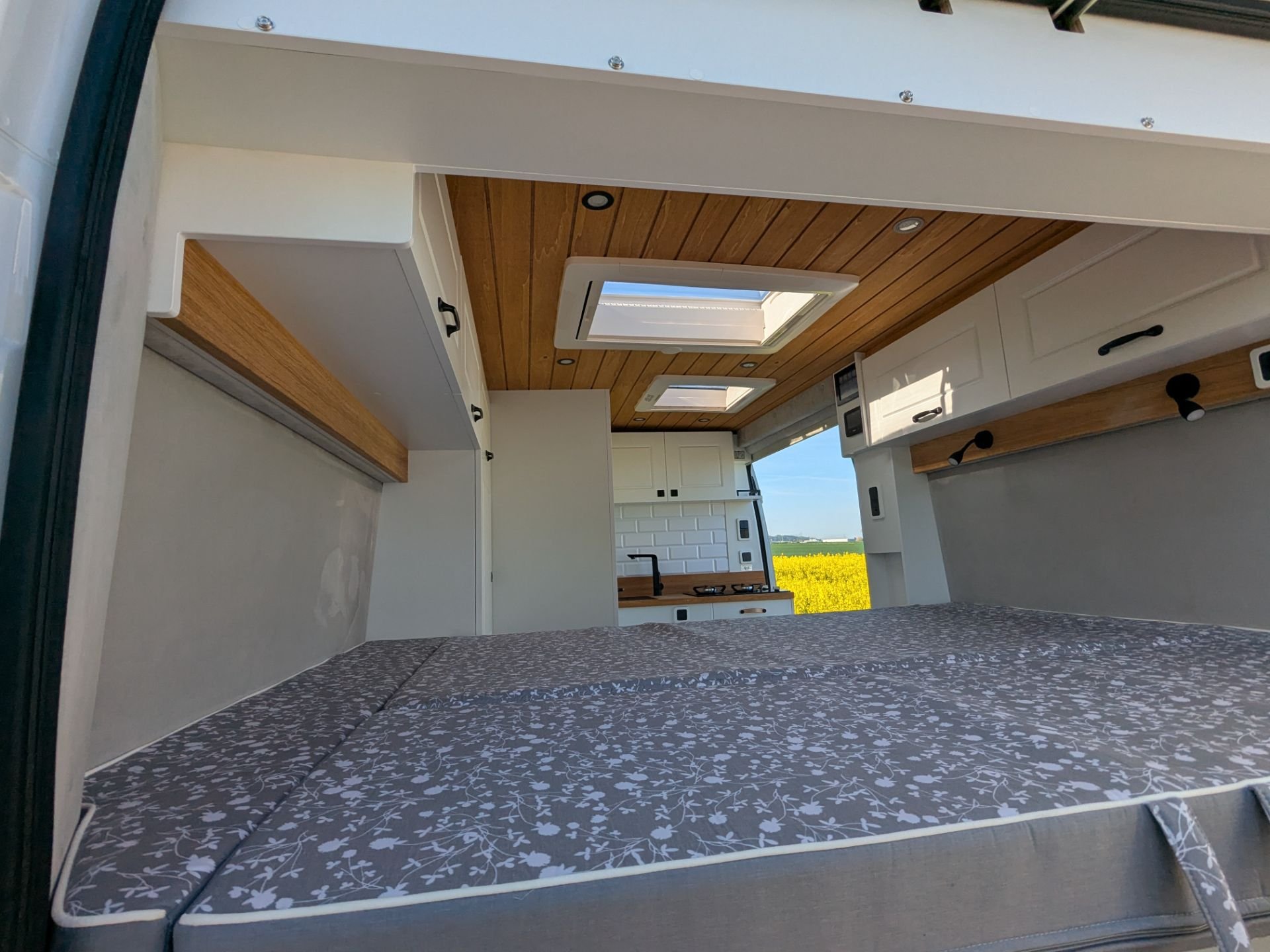 Affinity FREEDO 541
