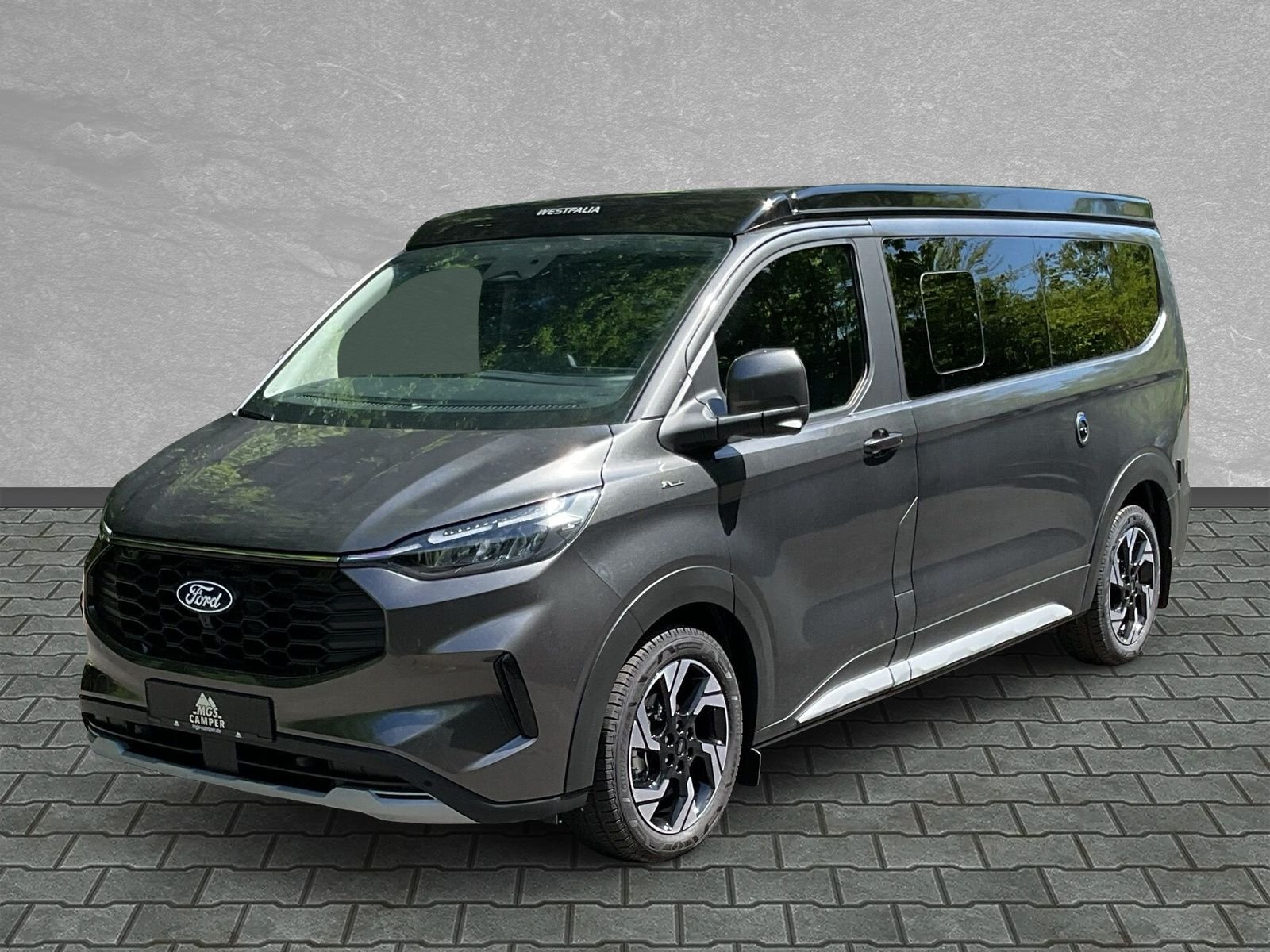 Ford Nugget Active L2