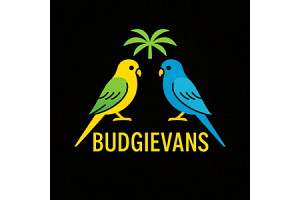 budgievans.de